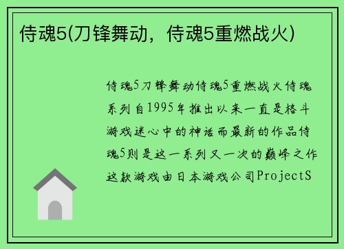 侍魂5(刀锋舞动，侍魂5重燃战火)